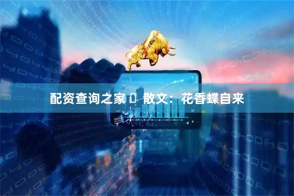 配资查询之家 ​散文：花香蝶自来